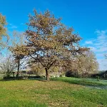 Chateau Sora Warm With Swimming Pool For 16 Dom wakacyjny