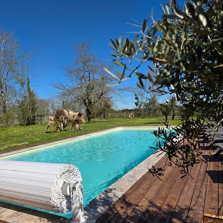 Holiday home Chateau Sora Warm With Swimming Pool For 16 *